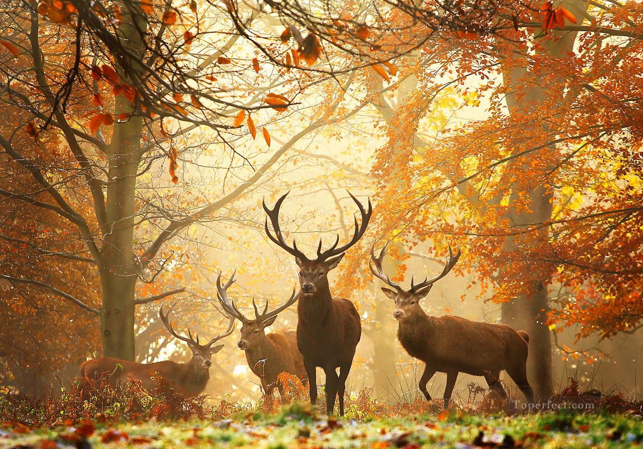 秋の鹿の写真油絵